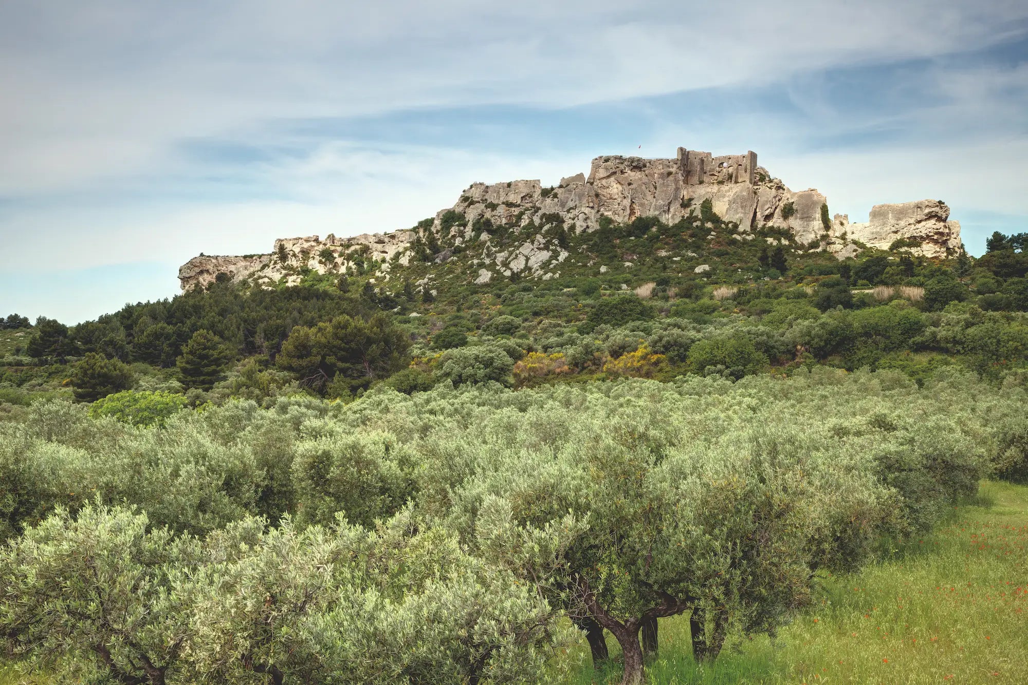 Rencontre avec Dominique, arboricultrice de la vallée des Baux depuis 40 ans