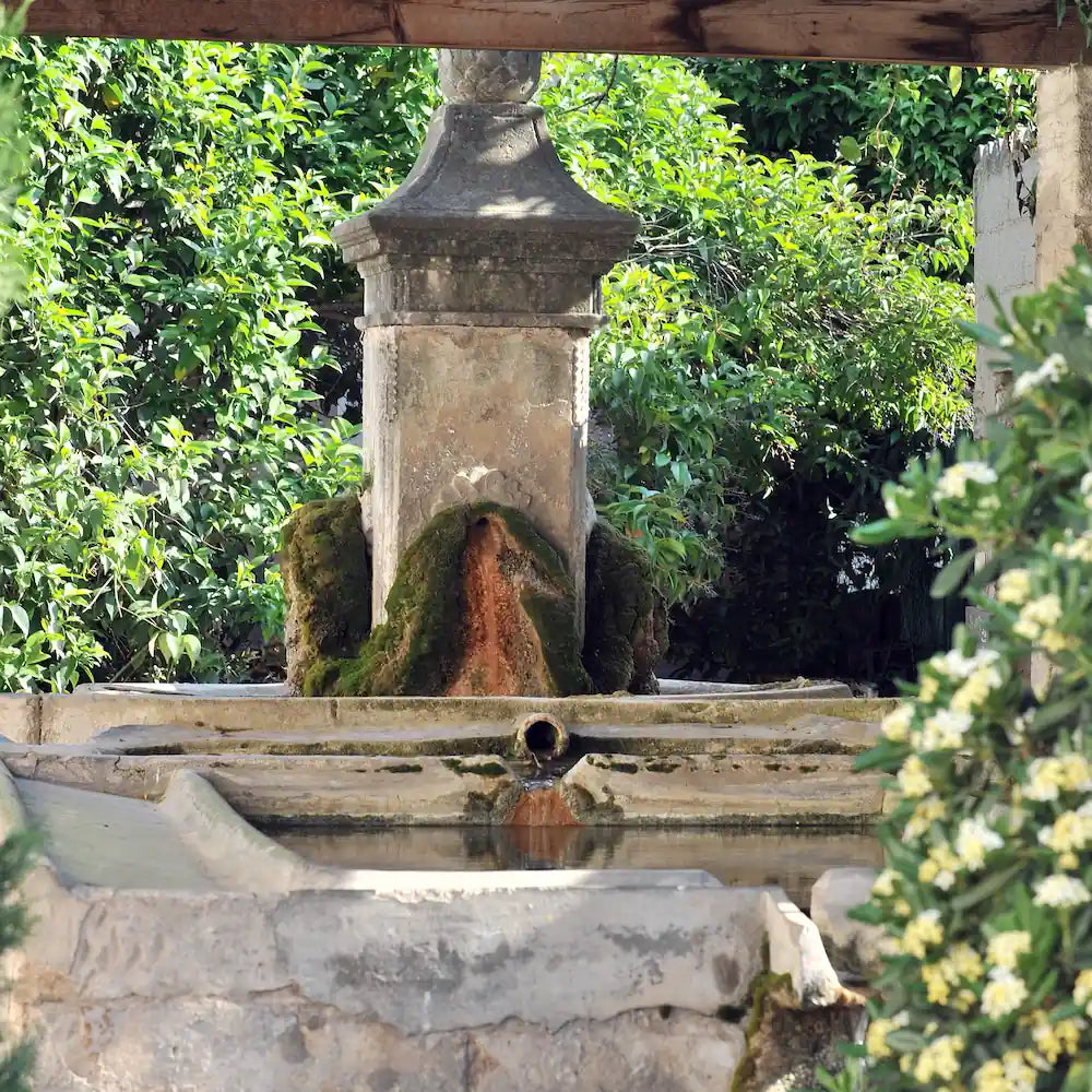Maussane-les-Alpilles : au cœur de notre terroir provençal