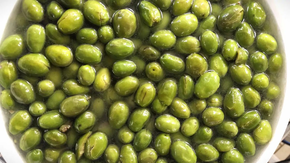 Nos olives cassées AOP : de l’olivier à la dégustation