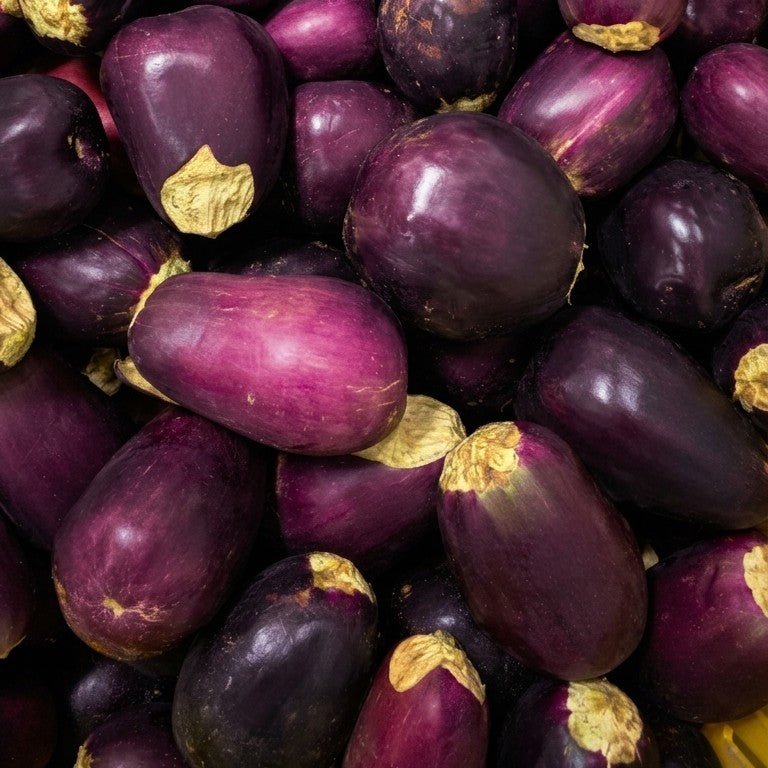 L’aubergine, légume star de l’été : du champ au bocal