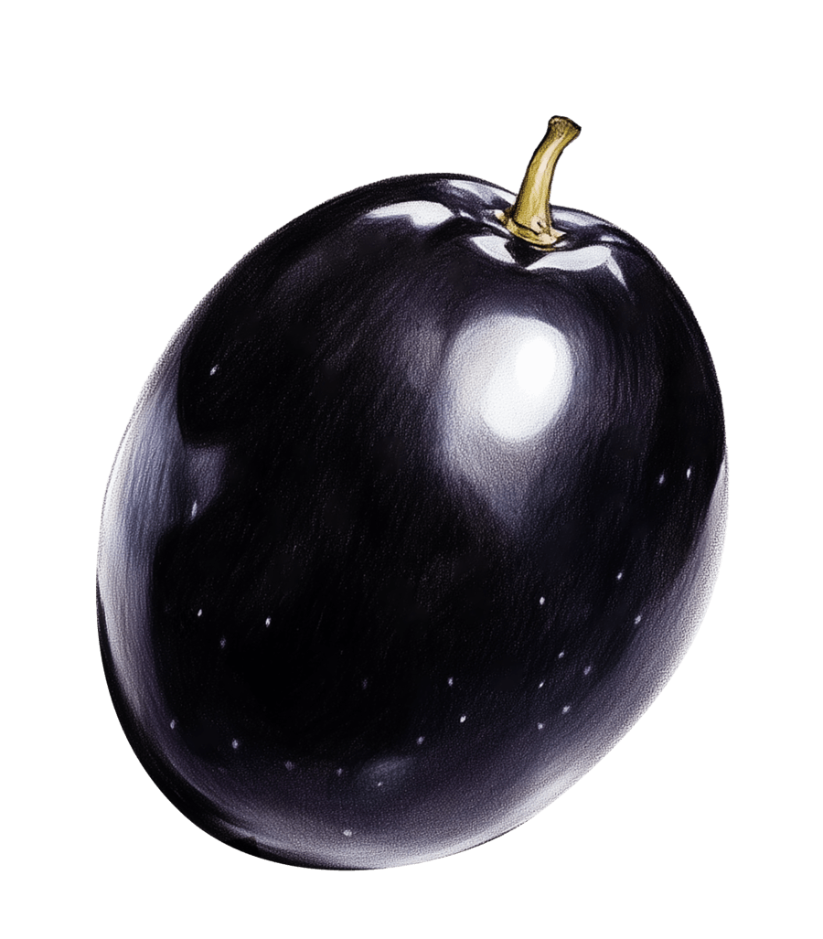 Black olive banner