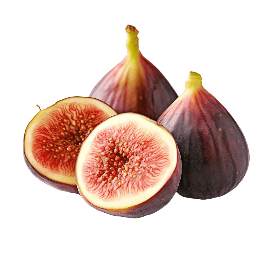 figs banner