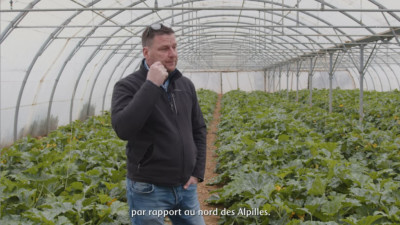 Qu'est-ce qui rend nos terres provençales aussi propices pour nos légumes ?